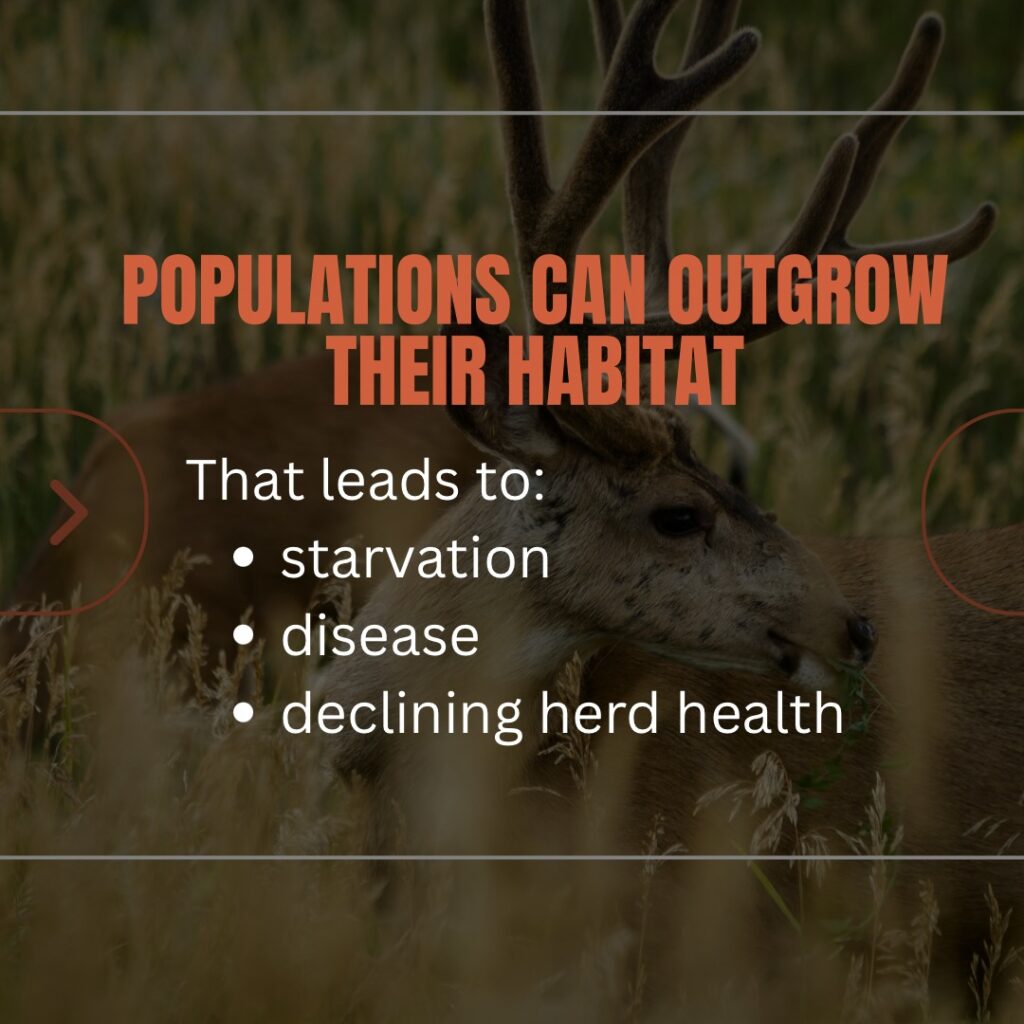 Instagram post from caldeerassoc. This post is in position 2.