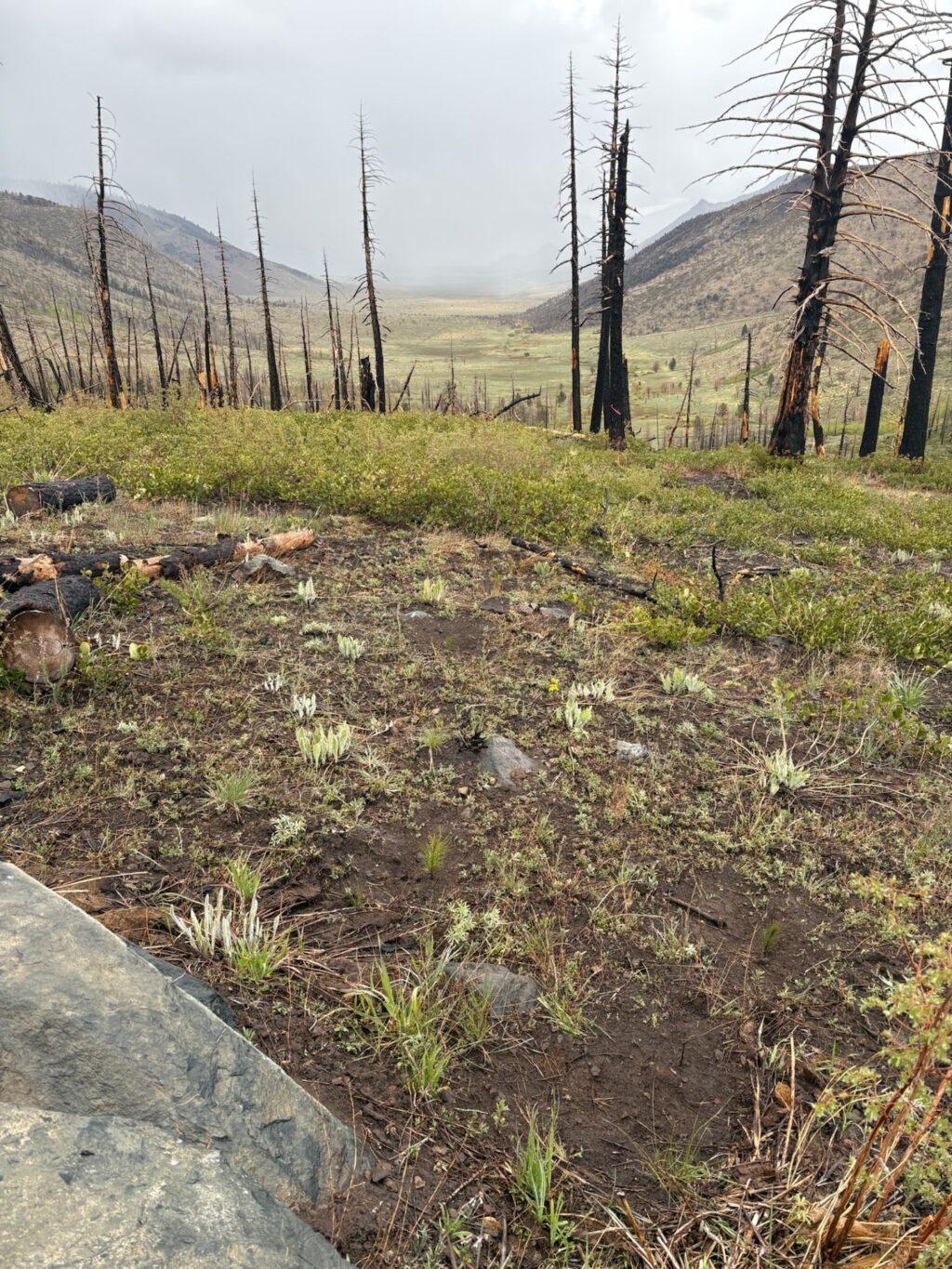Instagram post from caldeerassoc. This post is in position 2.