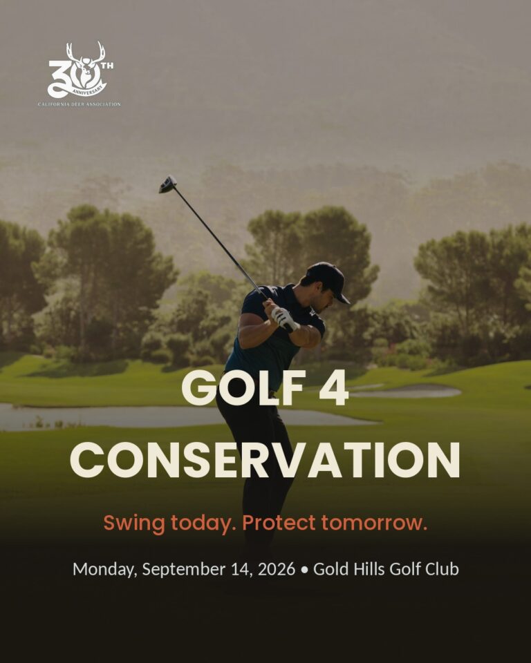 Instagram post from caldeerassoc. This post is in position 1.