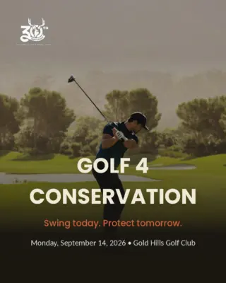 Instagram post from caldeerassoc. This post is in position 1.