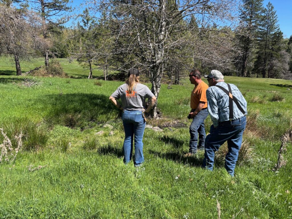 Instagram post from caldeerassoc. This post is in position 1.