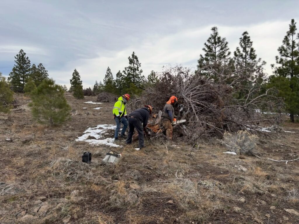 Instagram post from caldeerassoc. This post is in position 2.