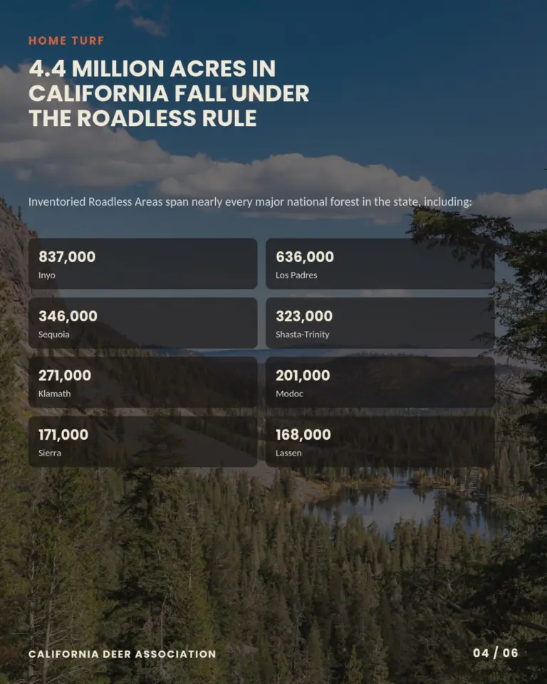 Instagram post from caldeerassoc. This post is in position 3.
