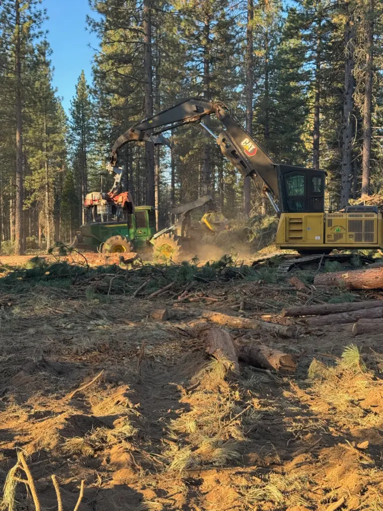 Instagram post from caldeerassoc. This post is in position 1.