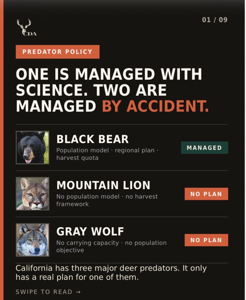 Instagram post from caldeerassoc. This post is in position 0.
