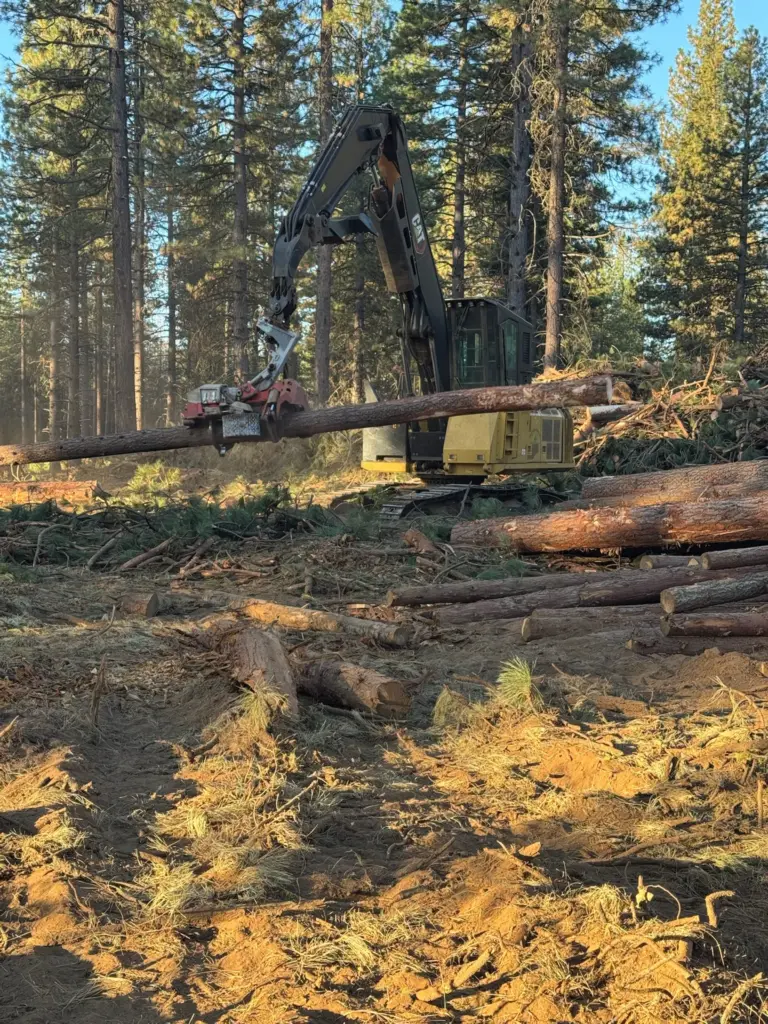 Instagram post from caldeerassoc. This post is in position 4.