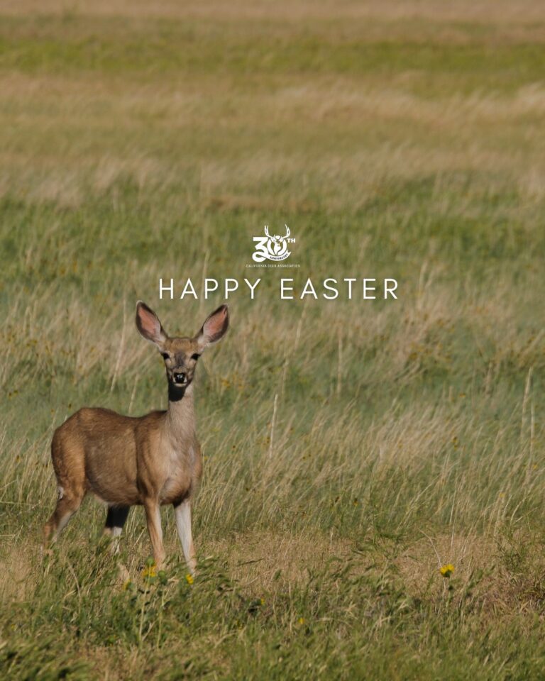 Instagram post from caldeerassoc. This post is in position 1.