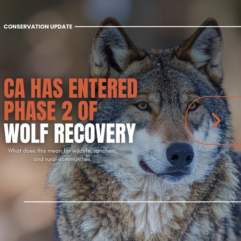 Instagram post from caldeerassoc. This post is in position 1.