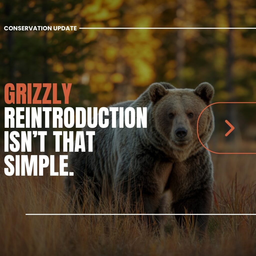 Instagram post from caldeerassoc. This post is in position 0.