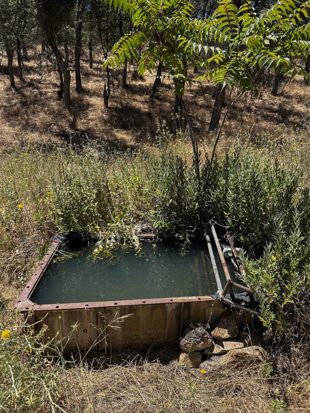 Instagram post from caldeerassoc. This post is in position 3.