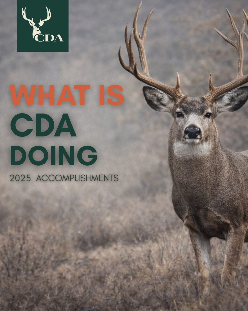 Instagram post from caldeerassoc. This post is in position 0.