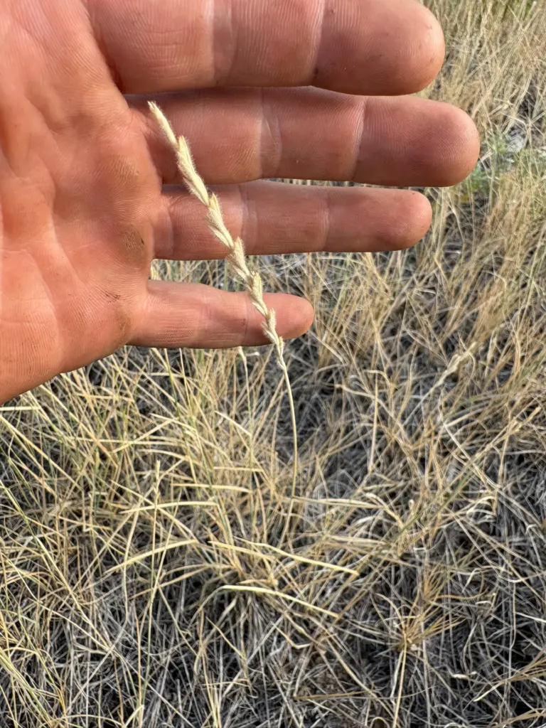 Instagram post from caldeerassoc. This post is in position 4.