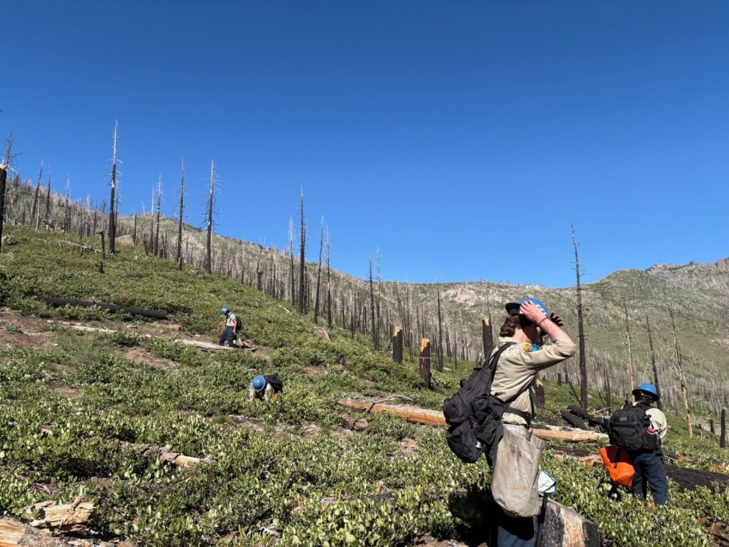 Instagram post from caldeerassoc. This post is in position 2.