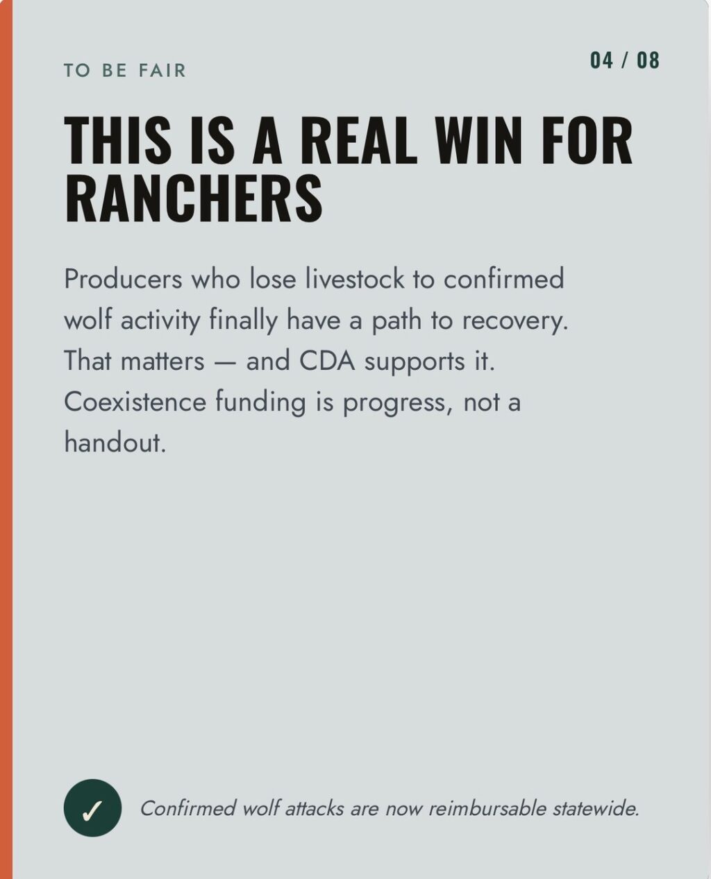 Instagram post from caldeerassoc. This post is in position 3.