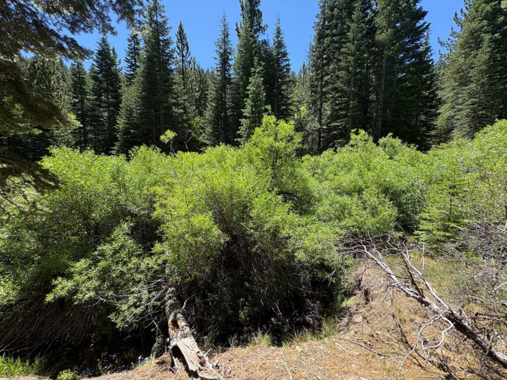 Instagram post from caldeerassoc. This post is in position 3.
