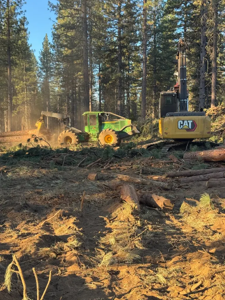 Instagram post from caldeerassoc. This post is in position 2.