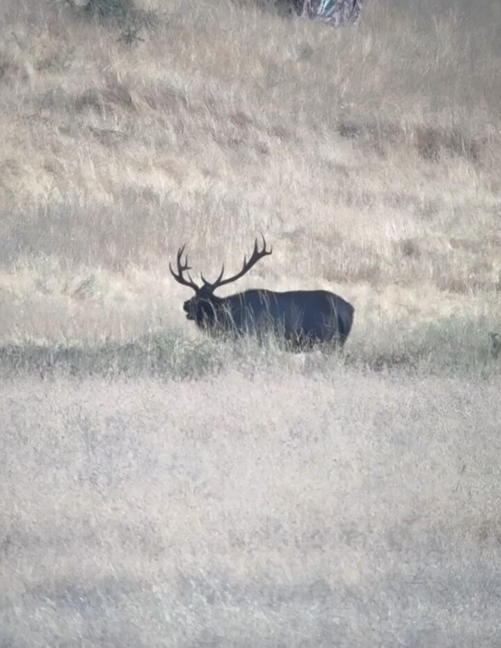 Instagram post from caldeerassoc. This post is in position 8.