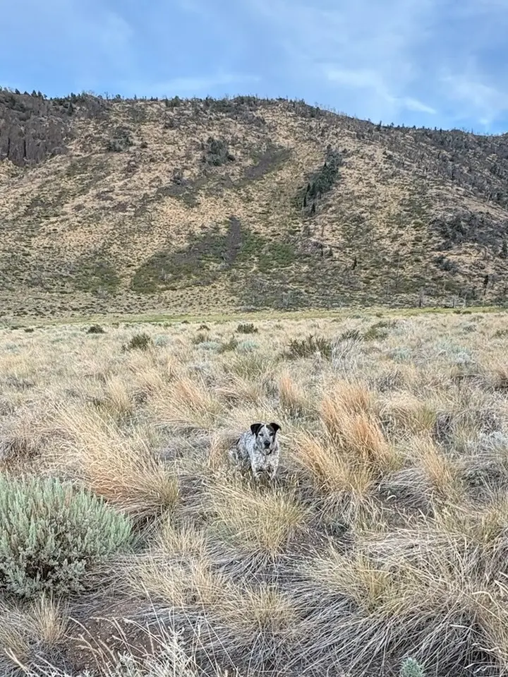 Instagram post from caldeerassoc. This post is in position 0.