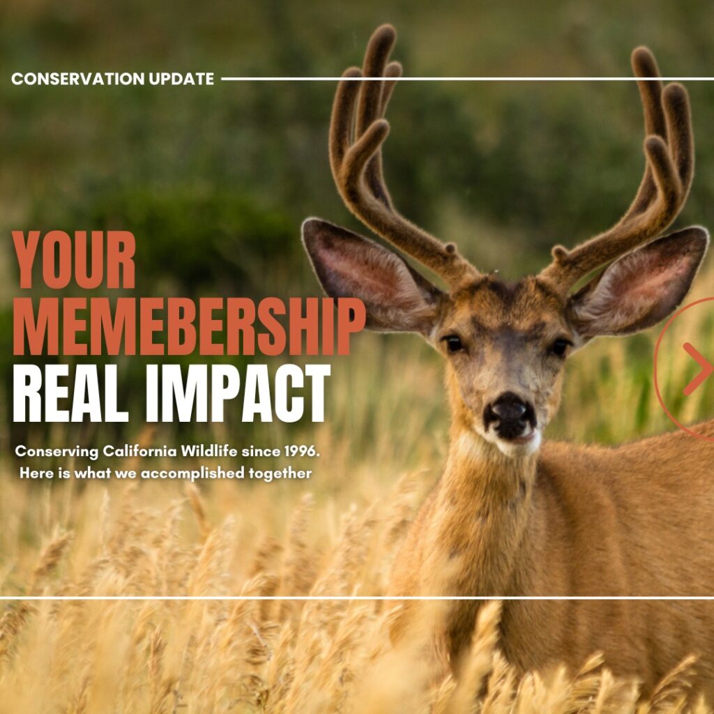 Instagram post from caldeerassoc. This post is in position 0.