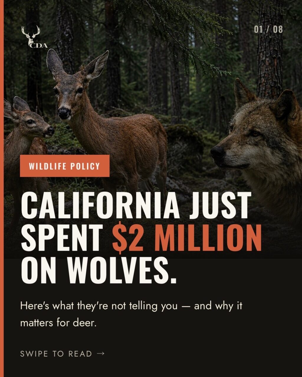 Instagram post from caldeerassoc. This post is in position 0.