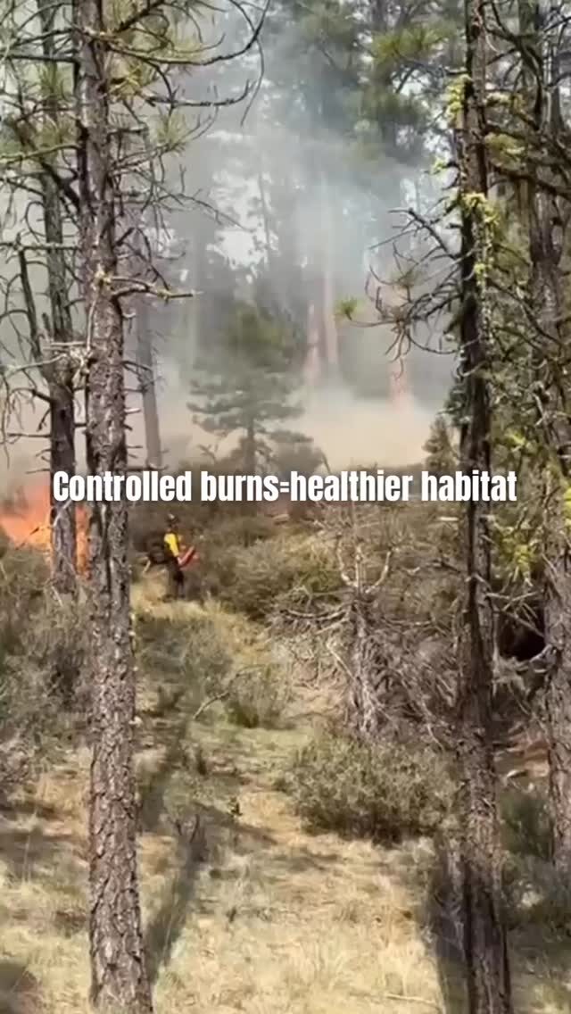 Instagram post from caldeerassoc. This post is in position 0.