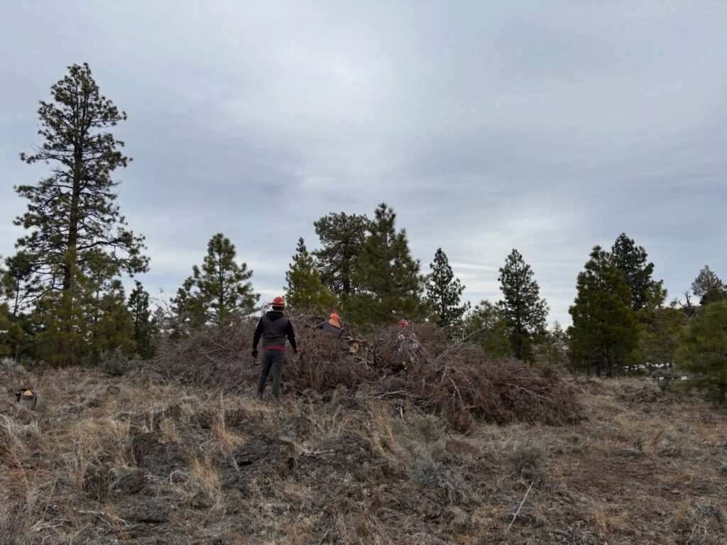 Instagram post from caldeerassoc. This post is in position 3.