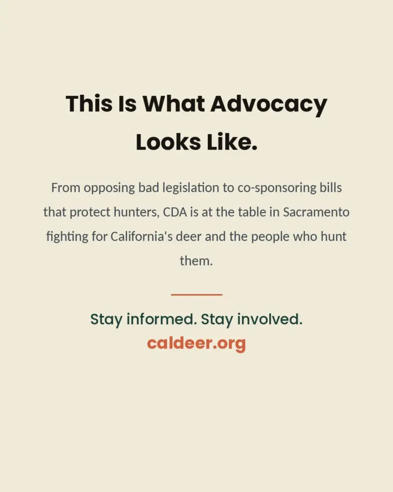 Instagram post from caldeerassoc. This post is in position 3.