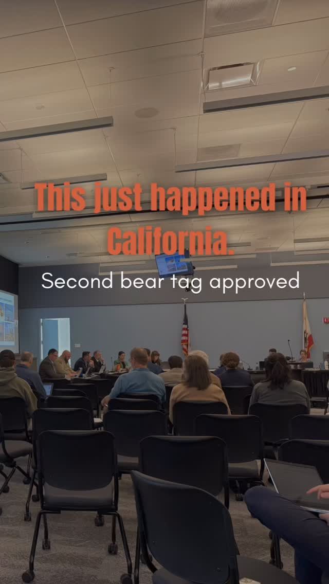 Instagram post from caldeerassoc. This post is in position 0.
