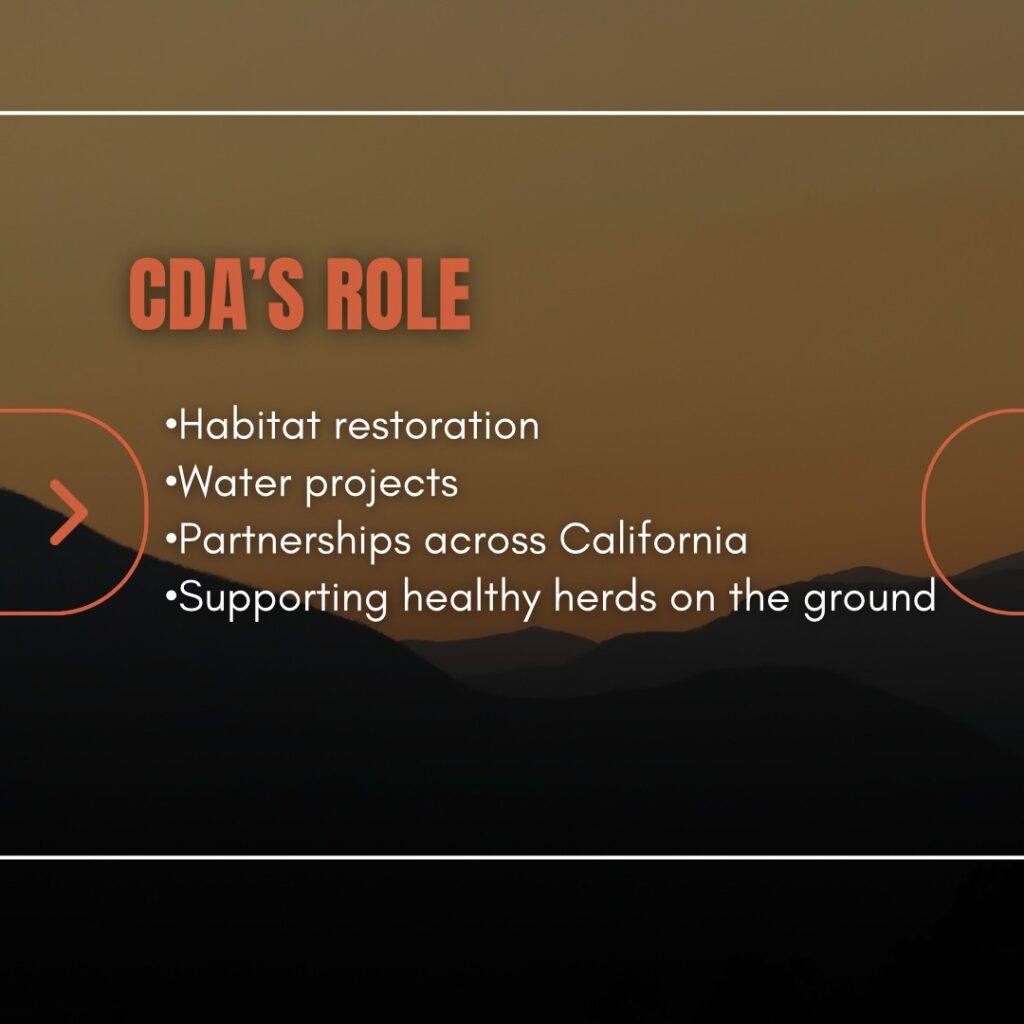 Instagram post from caldeerassoc. This post is in position 7.