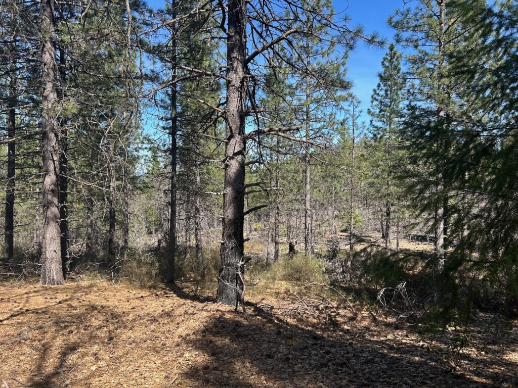 Instagram post from caldeerassoc. This post is in position 3.