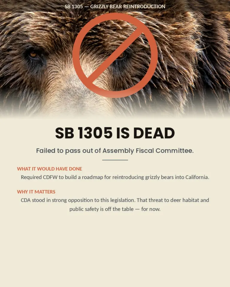 Instagram post from caldeerassoc. This post is in position 1.