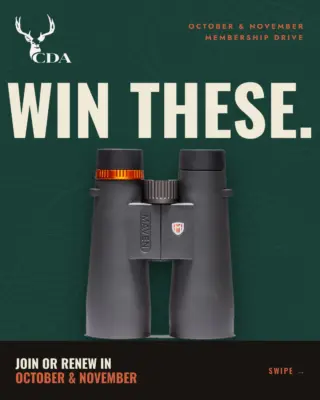 Instagram post from caldeerassoc. This post is in position 1.