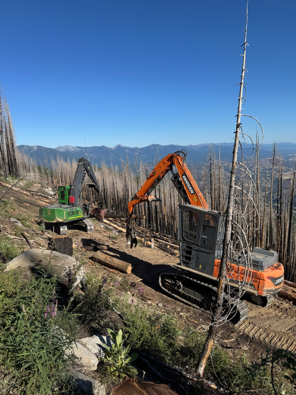 Instagram post from caldeerassoc. This post is in position 7.
