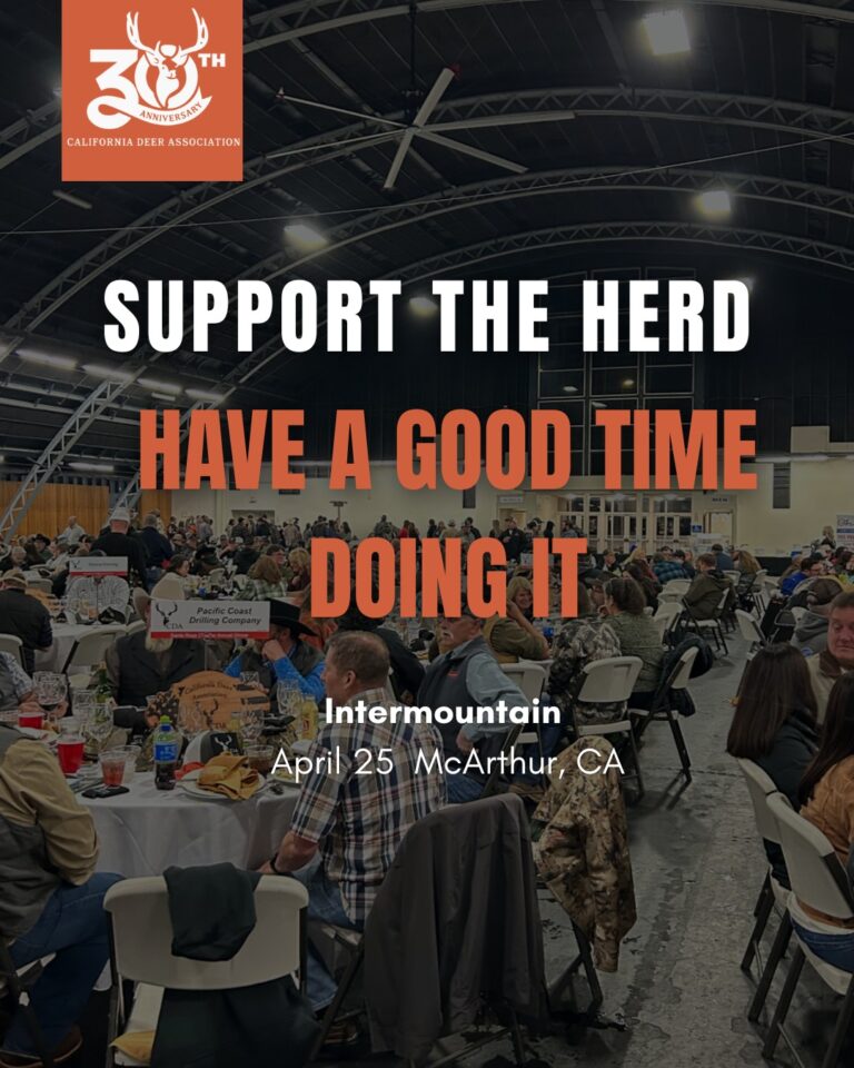 Instagram post from caldeerassoc. This post is in position 1.