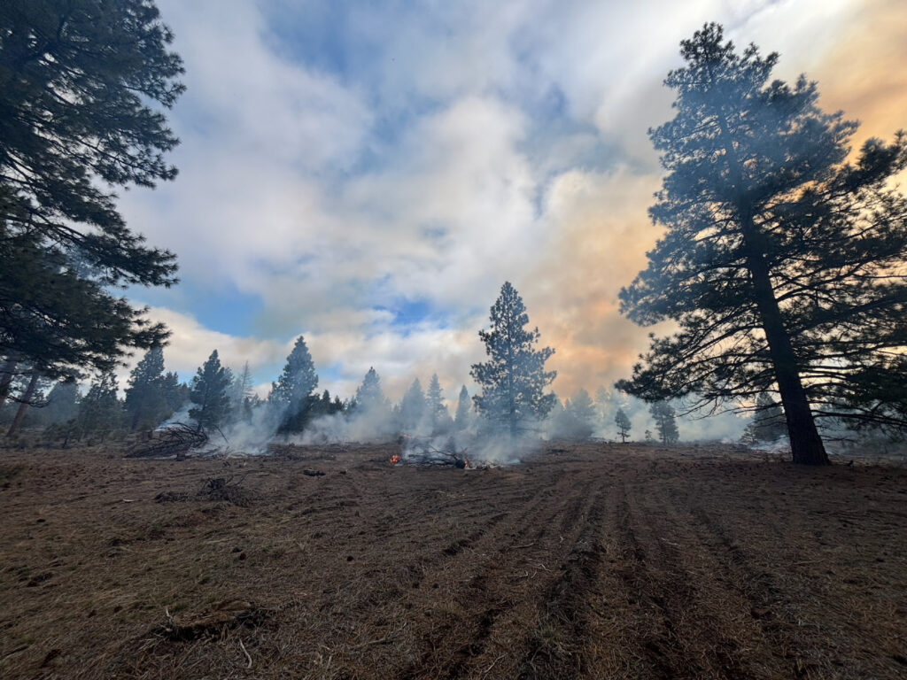 Instagram post from caldeerassoc. This post is in position 7.