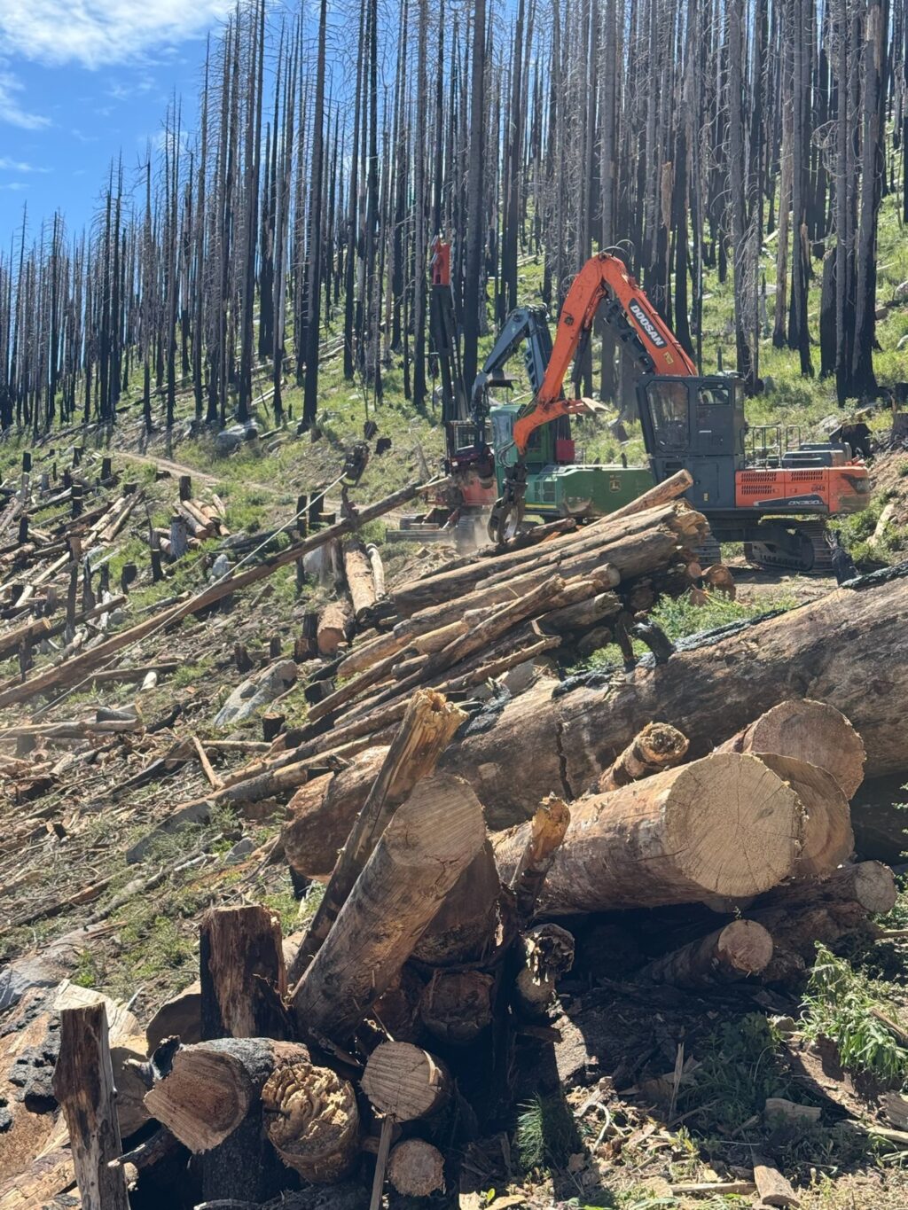 Instagram post from caldeerassoc. This post is in position 3.