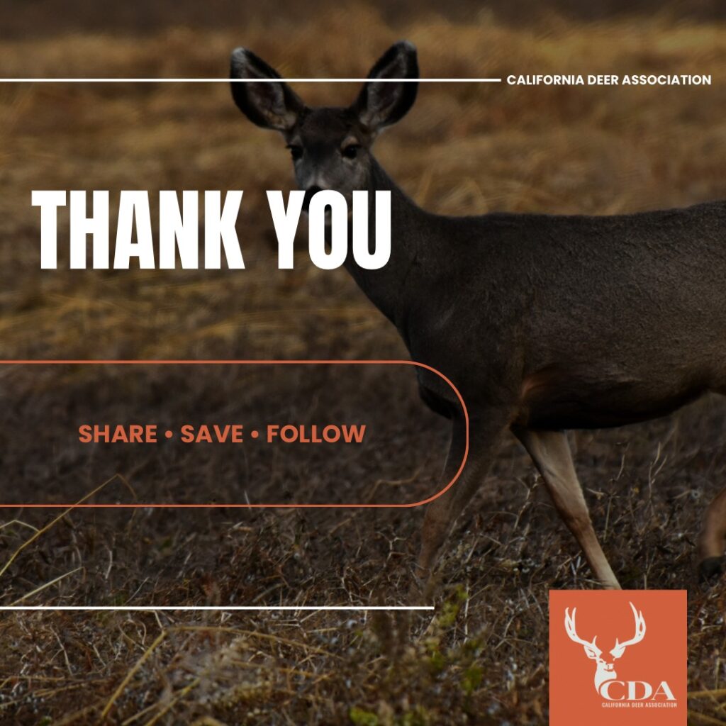 Instagram post from caldeerassoc. This post is in position 5.