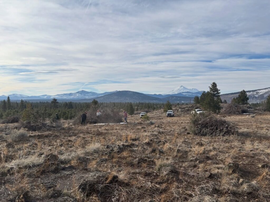 Instagram post from caldeerassoc. This post is in position 8.