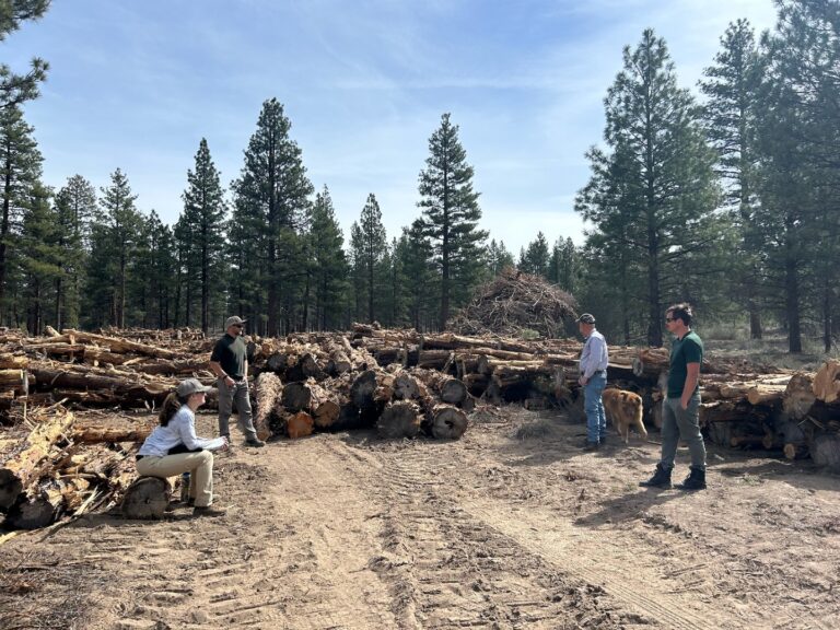 Instagram post from caldeerassoc. This post is in position 1.