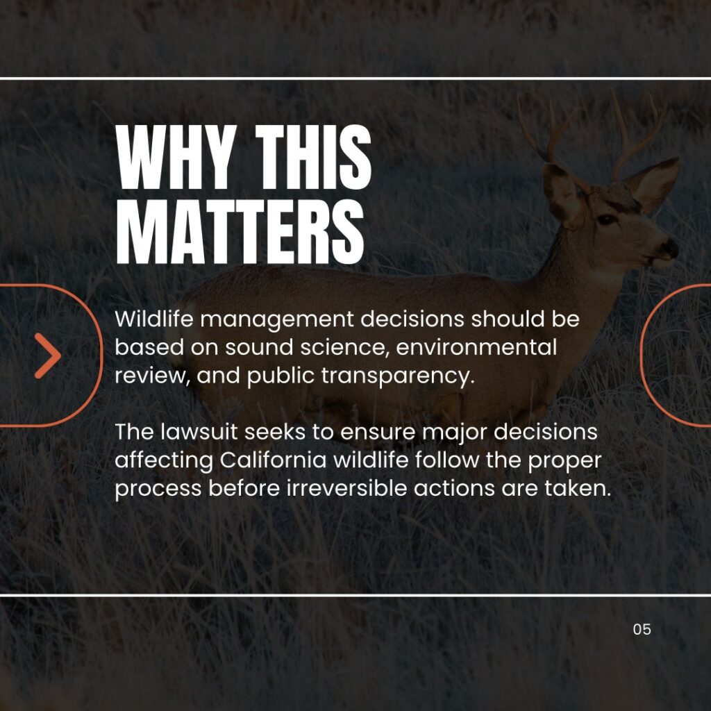 Instagram post from caldeerassoc. This post is in position 4.