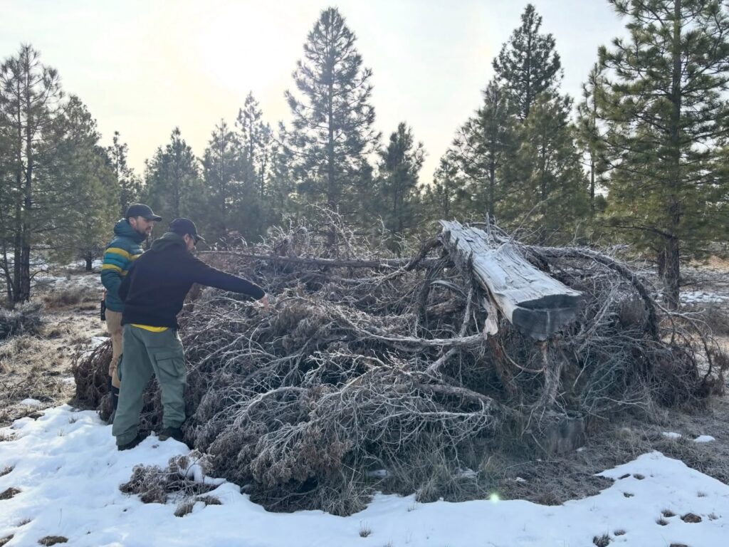 Instagram post from caldeerassoc. This post is in position 1.