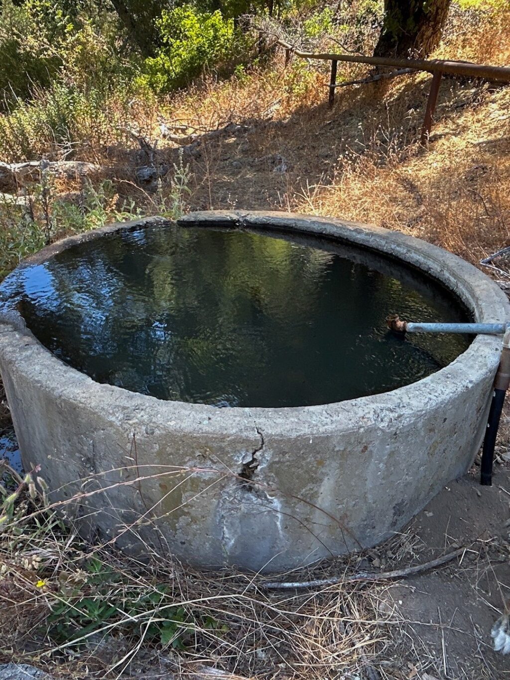 Instagram post from caldeerassoc. This post is in position 7.
