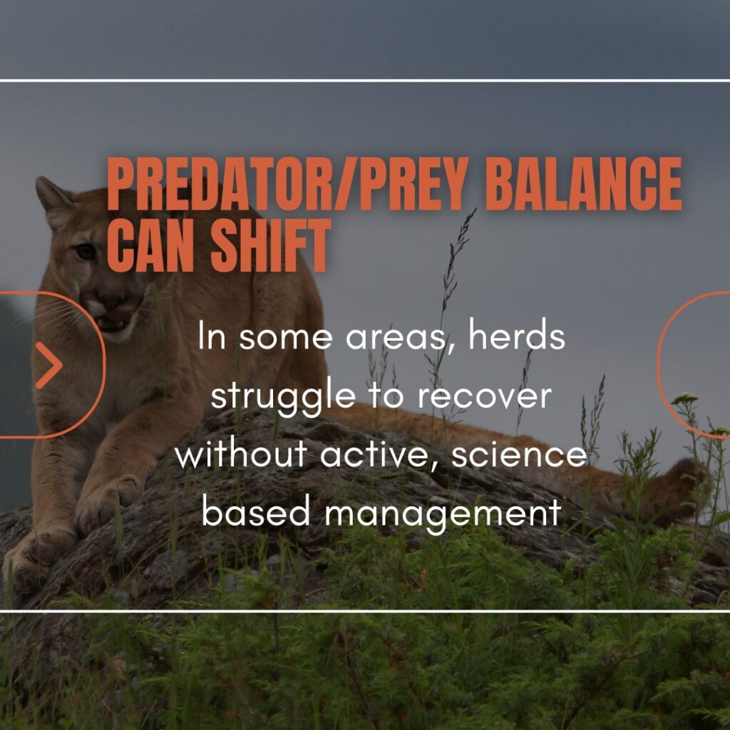 Instagram post from caldeerassoc. This post is in position 3.