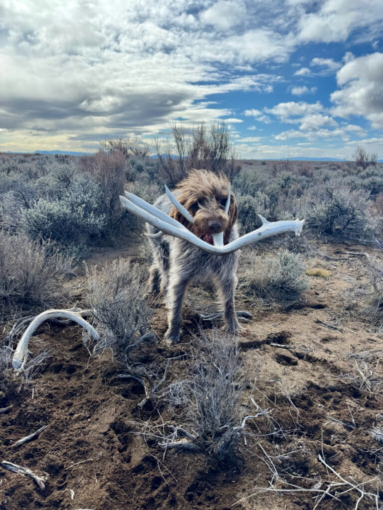 Instagram post from caldeerassoc. This post is in position 1.