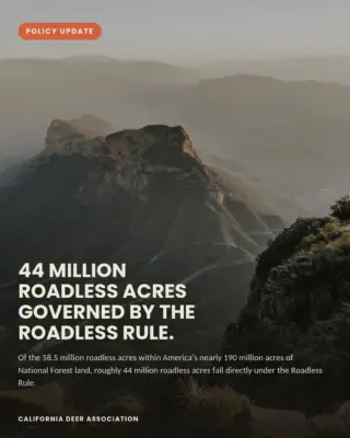 Instagram post from caldeerassoc. This post is in position 1.