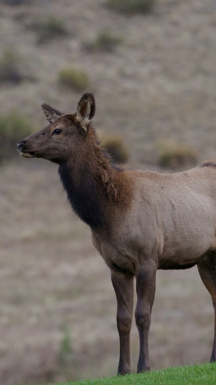 Instagram post from caldeerassoc. This post is in position 0.