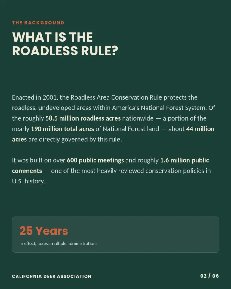 Instagram post from caldeerassoc. This post is in position 1.