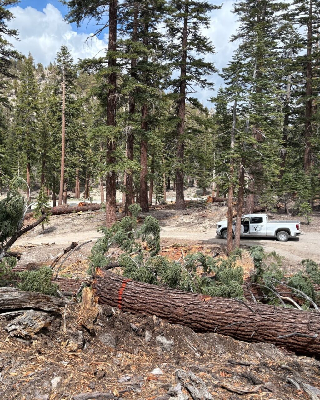 Instagram post from caldeerassoc. This post is in position 7.