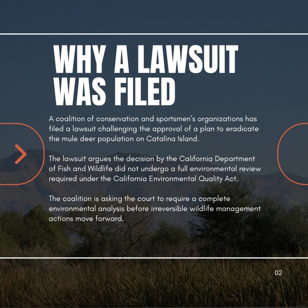 Instagram post from caldeerassoc. This post is in position 1.