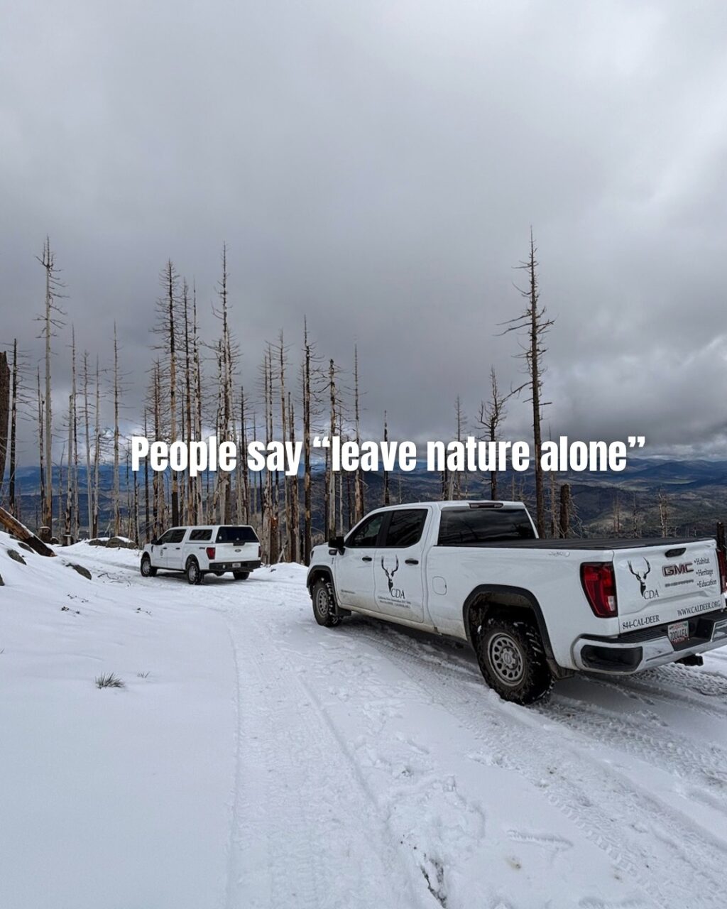 Instagram post from caldeerassoc. This post is in position 0.